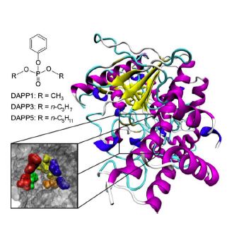 bioEnergetics