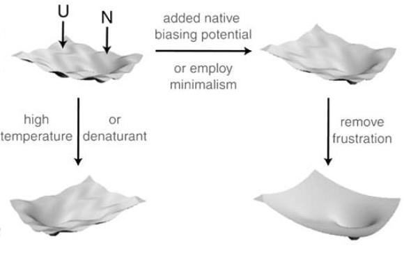 helical protein