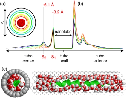 solvation effects